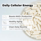 NMN Supplement 500mg per Serving, Nicotinamide Mononucleotide Helps Support Aging, Wellness, and NAD Levels, High Potency, 60 Vegetarian Capsules, 30 Servings