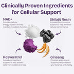 NAD Supplements for Women with Resveratrol, 1000mg Liposomal Nicotinamide Riboside with Quercetin, NMN Supplement Alternative Supports Cellular Energy & Repair, 120 NAD Gummies for Brain Boost