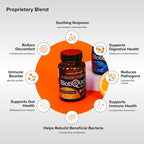 BiotiQuest Antibiotic Antidote Probiotics to Rebalance Body After Taking Antibiotics, 20 Billion CFU, Non-GMO, and Gluten Free, 30 Capsules
