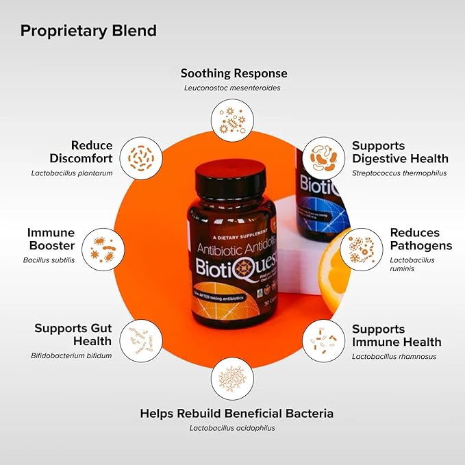 BiotiQuest Antibiotic Antidote Probiotics to Rebalance Body After Taking Antibiotics, 20 Billion CFU, Non-GMO, and Gluten Free, 30 Capsules