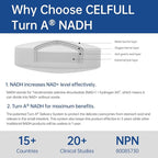 CELFULL NADH Supplement 40mg Enchance NMN Alternative NAD+ Supplement for Immune Support Anti-Aging Boost Brain Cognition & Chronic Fatigue Supplements