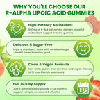 R Alpha Lipoic Acid 600mg Gummies, Stabilized R-Alpha Lipoic Acid, ALA Supplement for Nerve Health, Antioxidant & Metabolism Support- Vegan, Non-GMO, Gluten Free, Strawberry Flavor - 60 Count