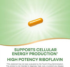 Nature's Way Riboflavin Vitamin B2, Supports Cellular Energy Production*, High Potency Riboflavin, 100 mg per Serving, 100 Capsules (Packaging May Vary)