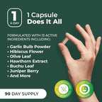 PurePremium Blood Pressure Supplements with Hawthorn Berry, Hibiscus, Garlic & Vitamin B12- Nitric Oxide Supplement for Normal Heart Health, Circulation Health & Blood Pressure Support - 90ct