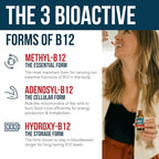 BioActive Vitamin B12 5000 mcg | 3 BioActive Forms Plus Methylfolate Cofactor - Methylcobalamin, Adenosyl & Hydroxy | Sublingual Liquid Drops, Berry Flavor, Organic, Non-GMO, Vegan (1 oz)