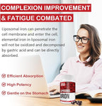 Liposomal Fe Iron Supplement for Women, 65 mg Iron Supplement with Folic Acid & Vitamin B12 for Men, Daily Blood & Energy Support for Adults Iron Deficiency 60 Softgels (1 Bottle)