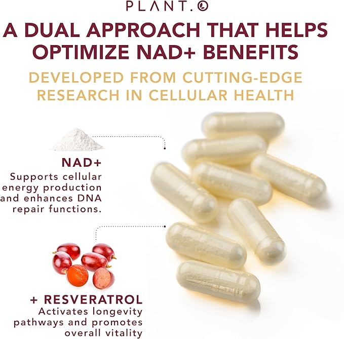 NAD Supplement High Purity (500mg of 95% Pure NAD Plus) with Resveratrol - NMN and Nicotinamide Riboside Alternative for Energy, Anti-Aging, Cell Regeneration, Focus – 60 Pills