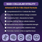 NAD+ Complex Gummies (90 Ct, 45 Servings), Resveratrol, 500mg of TMG, Quercetin, Curcumin, Berberine & Antioxidants | Advanced Plant-Based Formula for Daily Cellular Balance & Longevity Nutrition