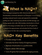 Premium 99.99% Pure NMN 30000 | 500mg per Capsule | Supports NAD⁺ Production & Cellular Energy | Anti-Aging Formula | 60 Veggie Capsules