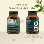 Gaia Herbs Male Libido - Herbal Supplement with Saw Palmetto, Horny Goat Weed & Oats - Traditional Herbs to Support Vitality & Energy Levels for Men - 120 Vegan Liquid Phyto-Capsules (120 Servings)