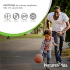 NaturesPlus Source of Life Garden Vitamin K2 - 60 Capsules, Pack of 2 - Supports Healthy Bones - USDA Certified Organic, Non-GMO, Vegan, Gluten Free - 120 Total Servings