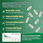 Liposomal NAD+ Supplement with Nicotinamide Riboside & Resveratrol, NAD Booster for Cellular Energy, Anti-Aging & Metabolism – NMN Alternative, NAD Supplement for Men & Women – 2pcs