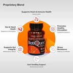 BiotiQuest Heart Centered Probiotics to Support The Cardio Vascular System and Heart Health, 20 Billion CFU, Non-GMO, and Gluten Free, 60 Capsules