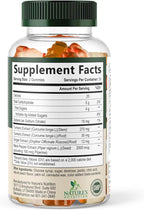 Turmeric Curcumin Supplement Gummies - 95% Curcuminoids with Turmeric & Ginger, Black Pepper for Best Absorption, Nature's Vegan Joint Support, Non-GMO, Gluten Free, Tasty Peach Flavor - 60 Gummies