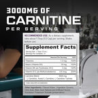 Cutler Nutrition Liquid L-Carnitine Fat Burner Supplement with Acetyl L-Carnitine & L-Carnitine Tartrate - Fat Burner Formula for Optimal Absorption, Energy & Muscle Support | Watermelon Flavor