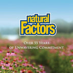 Natural Factors, Turmeric & Bromelain 450 mg, Muscle and Joint Support, 90 Capsules