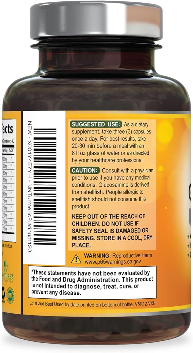 Turmeric Curcumin Supplement - 95% Curcuminoids with Glucosamine, Ginger & MSM, BioPerine Black Pepper Extract for Best Absorption, Natural Vegan Joint Support, Non-GMO, Bottled in USA - 120 Capsules