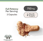 Resveratrol Supplement 500mg Per Serving, 120 Capsules (Resveratrol Polygonum Root Extract Providing 50% Trans Resveratrol) Healthy Aging Support by Double Wood (Pack of 2)