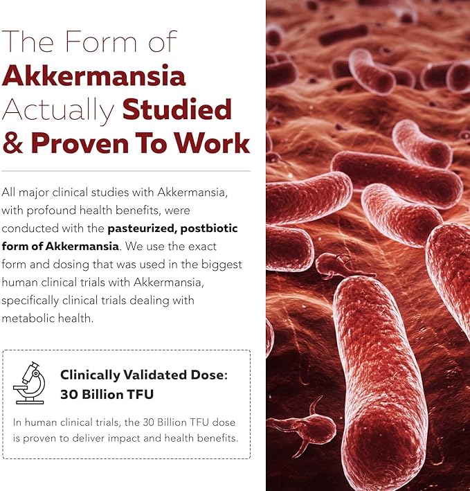 AK-Postbio: Akkermansia Probiotic 30 Billion TFU - Max Strength, Clinically Validated Dose & Patented Strain - Superior Pasteurized Form, Highest Absorption, Delivery - GLP-1 Probiotic - 30 Servings