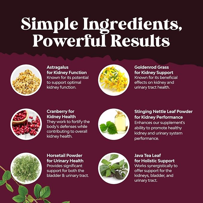 Advanced Kidney Support Supplement - Kidney Cleanse Detox & Repair Cranberry Extract Capsules with Uva Ursi, Stinging Nettle & Astragalus for Kidney health - Urinary Tract Health - 120 Count