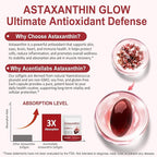 Xaarty Premium Astaxanthin 12mg, Natural Antioxidant Supplement for Eye, Joint, Skin Health,Microalgae Source, 4 Month Supply | Supports Internal Circulation, 120 Softgels