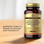 Solgar Glucosamine Hyaluronic Acid Condroitin MSM (Shellfish-Free) 120 Tablets - 2 Bottles