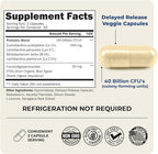 BioSchwartz Daily Probiotic Nutritional Supplement - 40 Billion CFU for Gut Health - Probiotics for Men and Women - Digestive Health with Astragalus & Lactobacillus - Shelf Stable - 60 Count