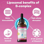 Nuvamin – Liquid Liposomal B-Complex Drops for Kids Baby Toddlers & Adults, 2Fl.Oz (60ml), 120 Daily Serving. B1, B2, B3, B5, B6, B7, B9, B12. Great Taste - Natural - High Absorption, Raspberry Flavor