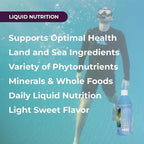 Youngevity Body Balance Land & Sea Plant Based Nutrition - Sea Vegetables, Kelp, Nori, Honey, Aloe Vera, and More - 75+ Nutrients w/Vitamins, Minerals, Amino Acids - (32 Fl Oz) (1)