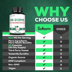 Satoomi NAD Supplement with Liposomal Nicotinamide Riboside - Cellular Energy & Repair, Vitality, Healthy Aging - 60 Capsules for 30 Days