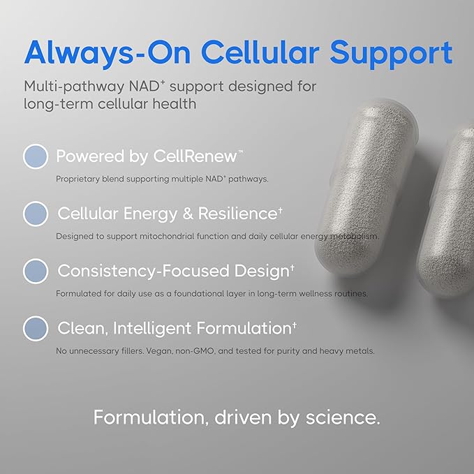 NMN+ 500 mg | NAD+ Support + Energy Production | Integrated Cellular Support Formula | 60 Vegan Capsules