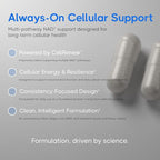 NMN+ 500 mg | NAD+ Support + Energy Production | Integrated Cellular Support Formula | 60 Vegan Capsules