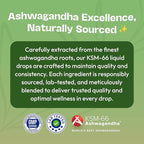 KSM-66 Ashwagandha Liquid Drops – Vegan, GMO Free & Fast Absorbing Form – Ashwagandha Supplements for Daily Wellness Support – Promotes Focus and Clarity – Supports Daily Vitality (Mixed Berry, 60ml)