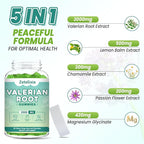 2 Pack Organic Valerian Root Gummies, Natural Calm to Help Relaxation, Herbal Supplement for Mood Support, Melatonin Free, Non-GMO, Gluten Free, Vegan, Green Grape Flavor, 120 Count
