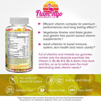Flamingo Supplements Multivitamin Gummies | Vegan Friendly, Kosher Halal NO Gluten or Gelatin, no GMO| for Men, Women & Kids| 3 Natural Flavors | Vitamins C, B3, B12, Biotin, Zinc & More| 100 Gummies