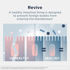 Designs for Health GI Revive Gut Health Powder - L Glutamine & Citrus Pectin for Digestive Health + Slippery Elm, Marshmallow Root & Cat's Claw for Healthy Intestinal & Gut Lining Support* (28 Servs)