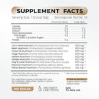 Mushroom Coffee - French Roast Style Instant Coffee + Lion’s Mane 900mg for Focus + Reishi, Chaga & Turkey Tail - 10-in-1 Mushrooms Fruiting Body Adaptogen Blend, Sugar Free, 35 Servings