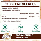 Liposomal NAD+ 500 MG Supplement, True NAD Plus Supplement, Superior Absorption, Boost NAD+ More Efficient Than Nicotinamide Riboside for Cellular Energy, Healthy Aging, 240 Serving