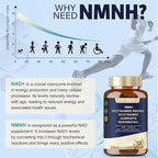 Totaria NMNH (Dihydronicotinamide Mononucleotide), NMNH Supplement w/Niacinamide (Vitamin B3), Quercetin, Trans-Resveratrol, Support NAD+, Anti-Aging, Skin Cell Health & Energy, 240 Count