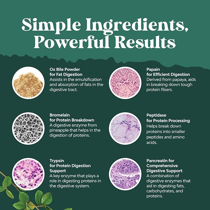 Bundle of Digestive Enzymes with Ox Bile Supplements for No Gallbladder for Pancrease Cleanse & Detox and High Absorption Magnesium Sleep Supplement Magtein Magnesium L-Threonate and Apigenin Theanine