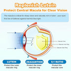 Sugar Free Lutein Gummies 25mg, Lutein and Zeaxanthin Supplements for Eye Health, 13-in-1 Eye Care Formula with Omega-3 Bilberry Saffron-Vision Health, Eye Strain, Dry Eyes,Vegan Orange Flavor 120 Cts