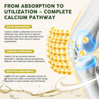 Calcium Citrate 1200 mg with Vitamin D3 Liquid Drops for Women & Men, Calcium Citrate with Vitamin D3 & K2 for Bone Muscle & Teeth- 2 Fl oz- 30 Day Vegan Supply