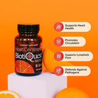 BiotiQuest Heart Centered Probiotics to Support The Cardio Vascular System and Heart Health, 20 Billion CFU, Non-GMO, and Gluten Free, 60 Capsules
