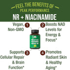 Peak Performance Nicotinamide Riboside NR Supplement Capsule - NMN Alternative NAD Supplement + Niacinamide for NAD+ Levels As We Age - 3rd Party Tested, Non-GMO, Vegan Vitamin for Women and Men