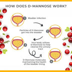 Urinary Tract Infection Treatments D Mannose 1000mg Capsules - Potent D-Mannose & Cranberry Pills with Hibiscus Extract - Healthy Bladder Control, Strength Urinary Tract Support (120 Capsules)