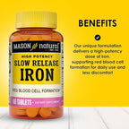 Mason Natural Slow,Release Iron (Ferrous Sulfate) 50 mg Tablets, 180 Day Supply, High Potency Supplement, Gentle on Stomach, 1 Pack