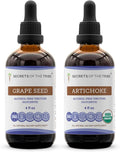 Secrets of the Tribe Grape Seed and Artichoke Liquid Extract (2 pcs.) | Alcohol-Free Tinctures | Grape (Vitis vinifera) Dried Seed and Artichoke (Cynara scolymus) Dried Leaf (2x4 fl oz)