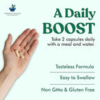 American Standard Supplements Digestive Enzymes Plus Probiotics & Prebiotics, 90 Veggie Capsules, for Digestion with Amylase, Bromelain, Papain, Lipase, Lactase, Protease, Papain, Cellulase