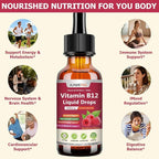Liquid Vitamin B12 Drops 5000 mcg - Extra Strength B12 Methylcobalamin with B1 B6 B3 Folate Niacin - Fast Absorption Sublingual B-12 Drops for Energy Metabolism & Brain Function, Vegan B Complex