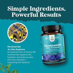 Vitamin B3 Niacinamide 500mg Capsules - Mitochondrial Energy and Potent Skin Supplement - AKA Vitamin B3 Niacin Flush Free and Nicotinamide 500mg - Flush Free Niacin Supplement - 240 Count